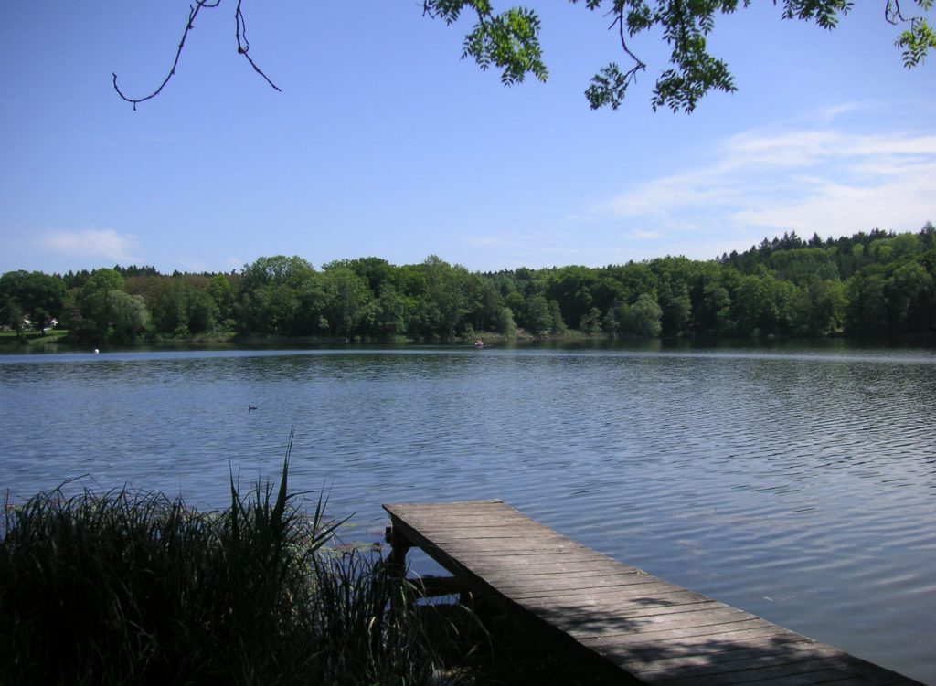 schwimmen im Natursee Schweiz