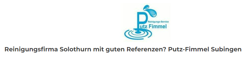 reinigungsfirma wasseramt