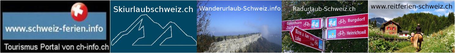 gute seo agenturen schweiz gute seo agentur schweiz