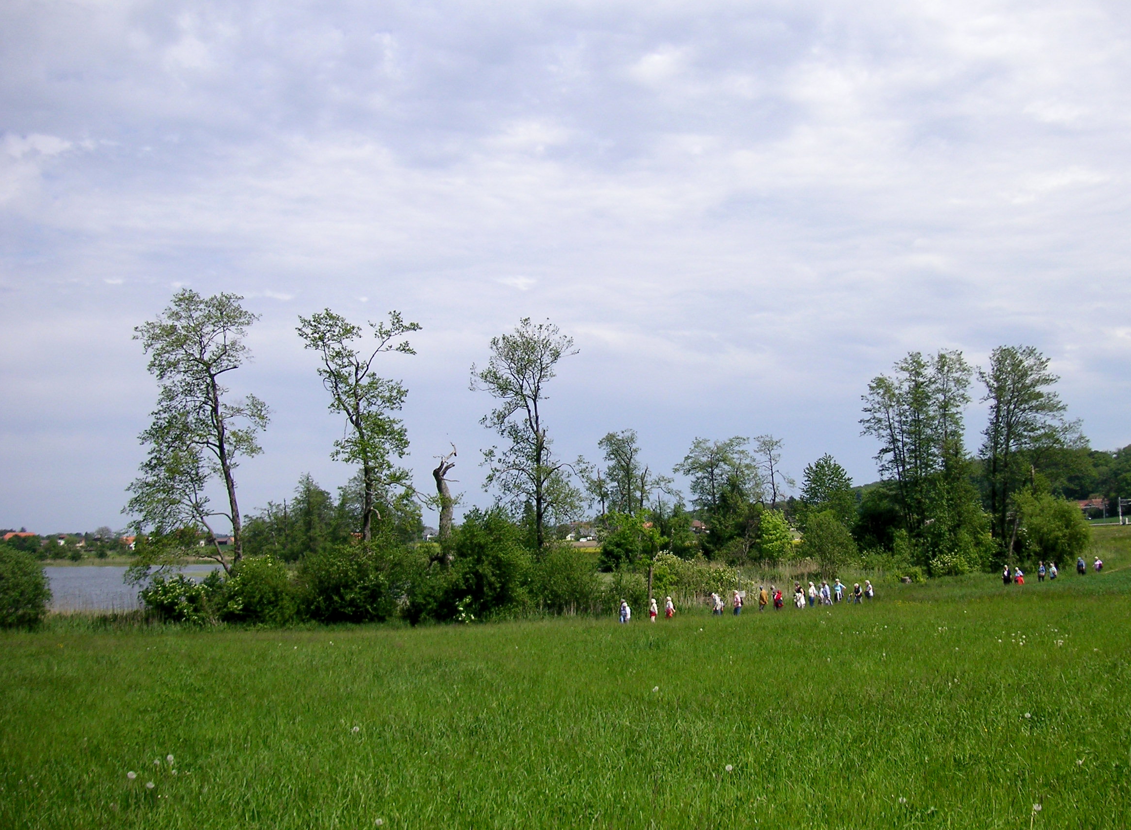 ferienwohnung mittelland zentral