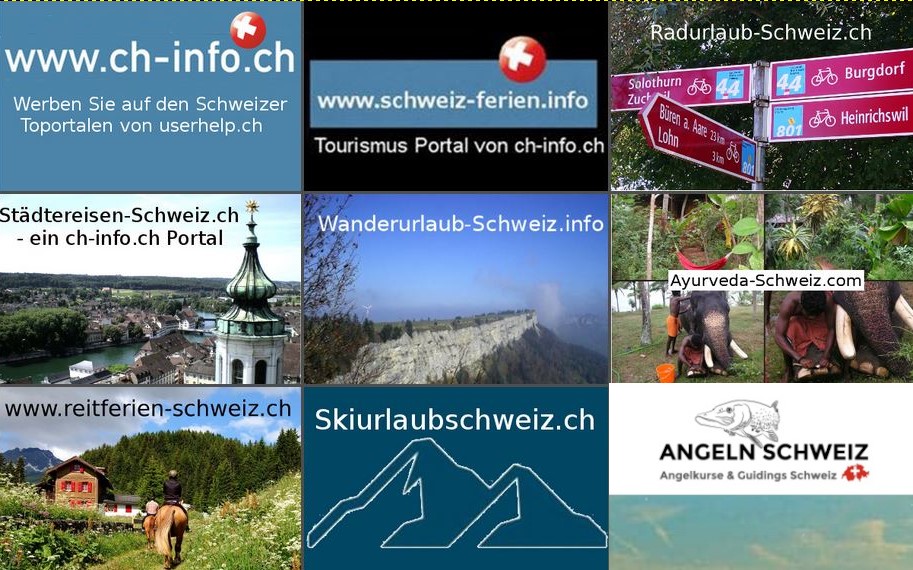 Seo Schweiz