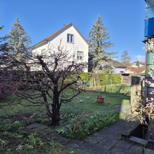 wohnung solothurn nah