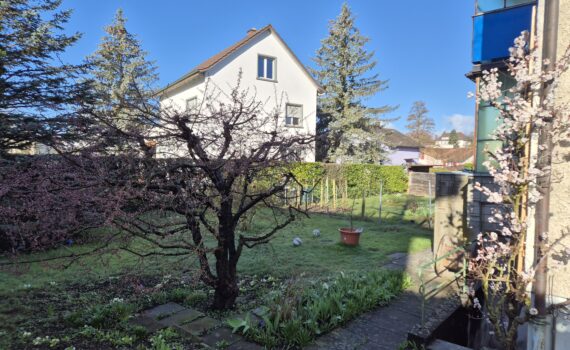 wohnung solothurn nah